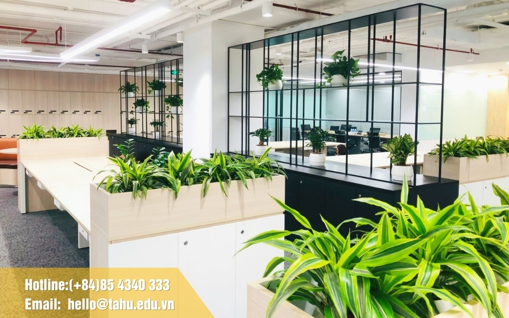 Trang trí thêm cây xanh trong không gian làm việc